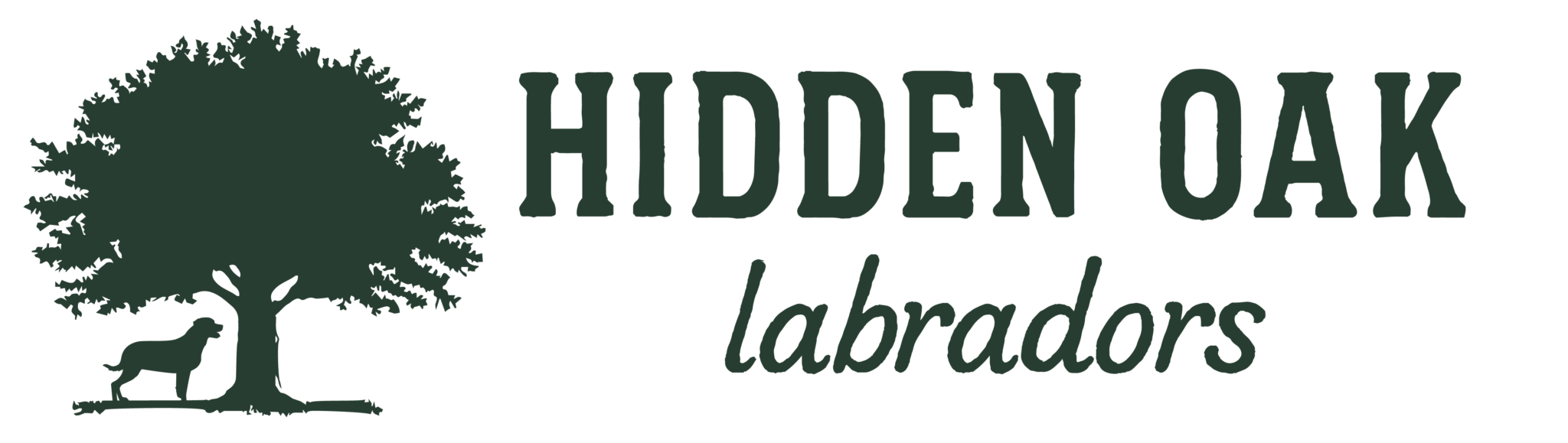 a black background with green text